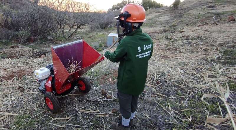 Imagen de los trabajos / TA